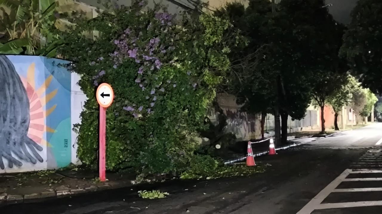 Foto 55 de 67 — TEMPORAL EM FOTOS: veja imagens de destruição em Araraquara